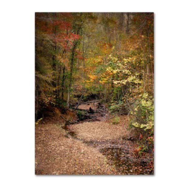 Jai Johnson 'Creek Bed In Autumn' Canvas Art, 24x32, Trademark Fine Art, Mfr#: ALI14141-C2432GG